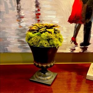 Elegant Bronze Planter with Green Moss
